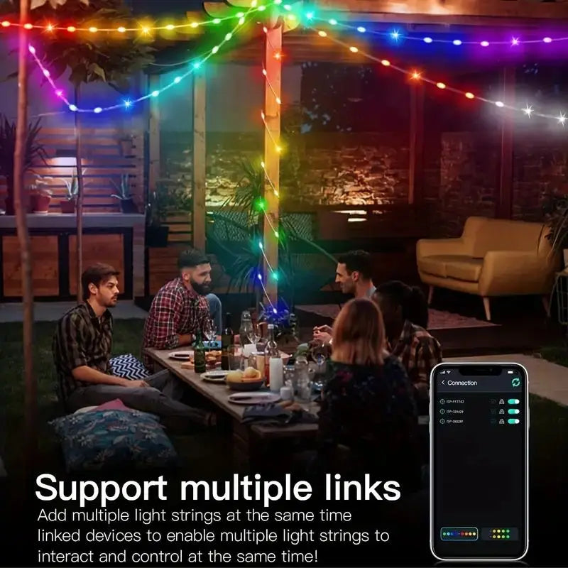 Smart IC LED String Light WS2812 Bluetooth Fairy Light Addressable USB 5V 20m 10m 5m Dreamcolor Music Sync Party Garland Decor