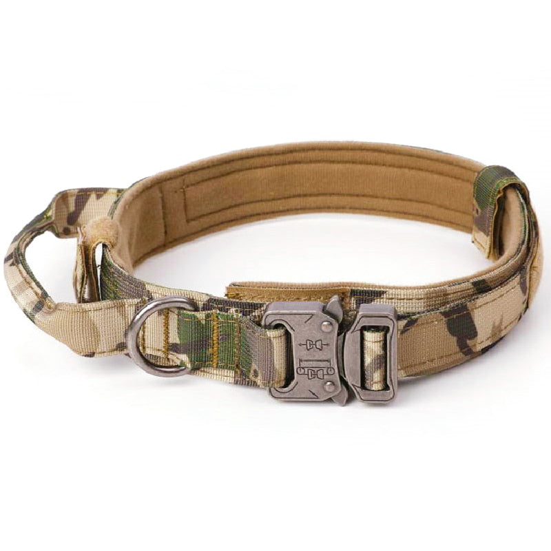 Training Pet Lead Collar For Small Big Dogs