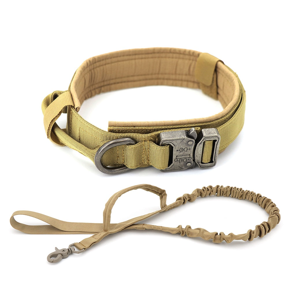 Training Pet Lead Collar For Small Big Dogs