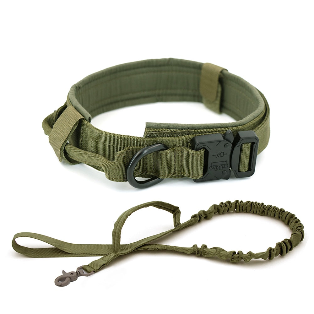 Training Pet Lead Collar For Small Big Dogs