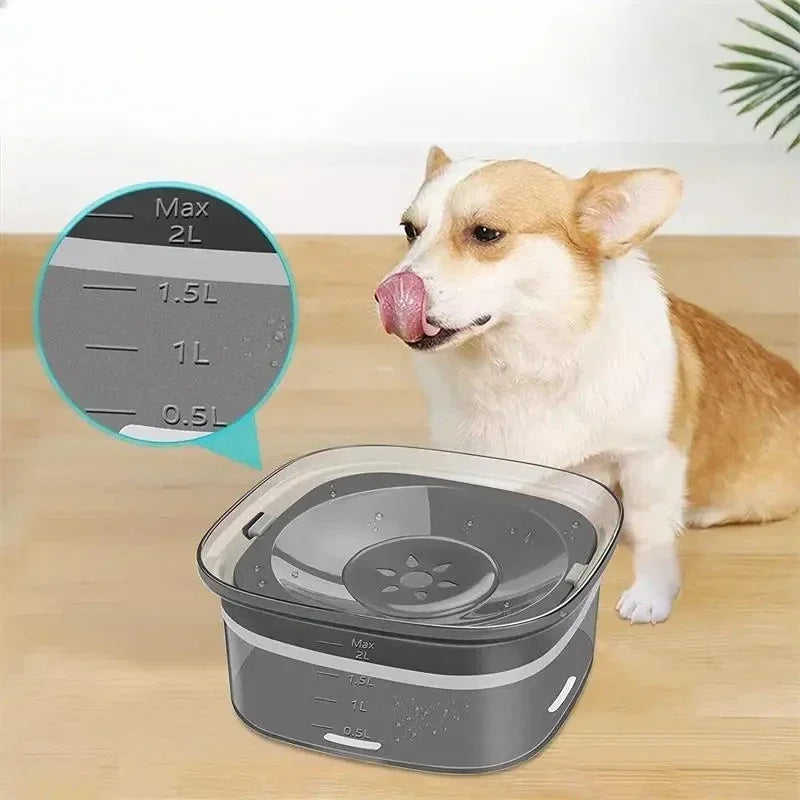 Pet Supplies Cat Water Bowl Dog Drinking Bowl Pet Floating Cat Bowl Splash-proof  Transparent Large Capacity 2L Water Dispenser