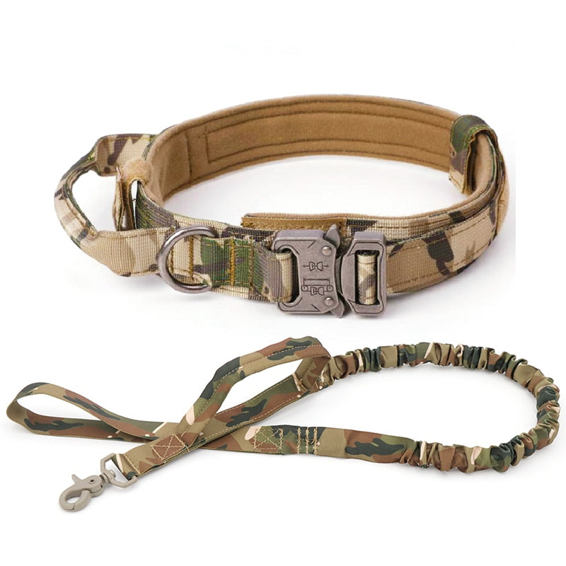 Training Pet Lead Collar For Small Big Dogs