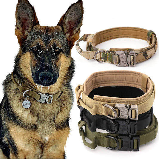 Training Pet Lead Collar For Small Big Dogs